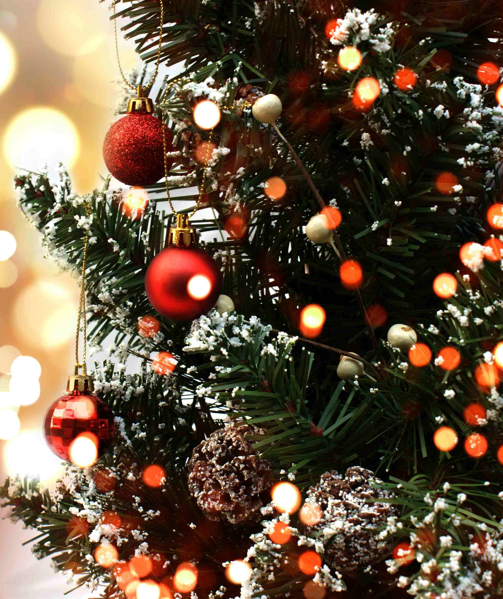 Changements horaires vacances de noel et rendez vous des b&eacute;n&eacute;voles le jeudi 8 janvier