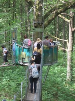 Sortie des familles à l'espace Rambouillet