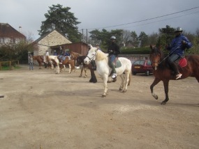 cheval fontainebleau